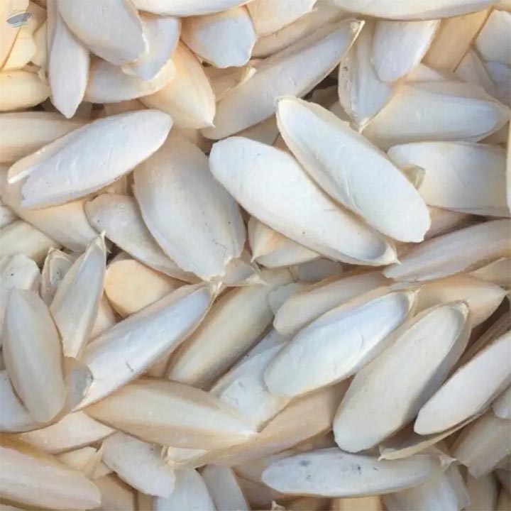 Omni Products Export Company