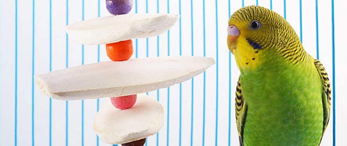 Omni Products Export Company