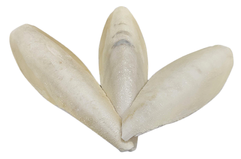 Omni Products Export Company