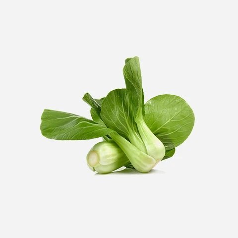 Omni Products Export Company